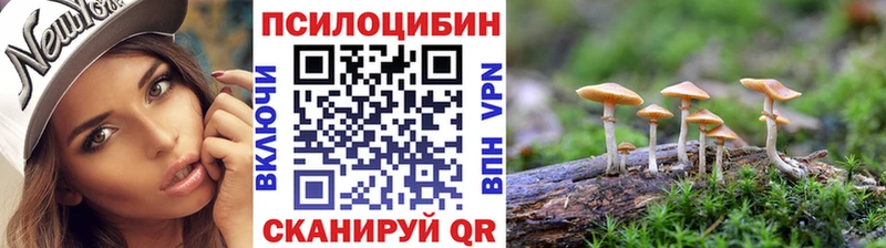 Галлюциногенные грибы Magic Shrooms  hydra ONION  Гвардейск 